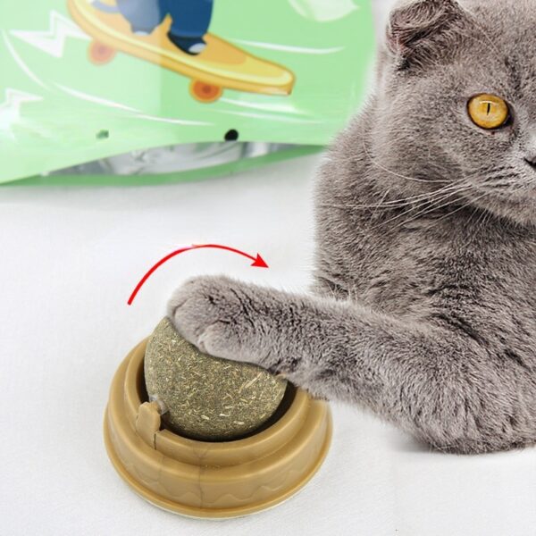 Catnip licking food