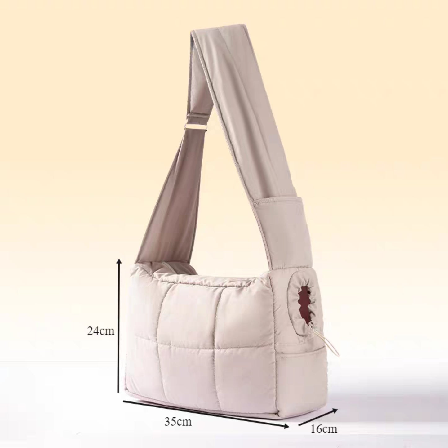 Pet carrier bag for autumn and winter