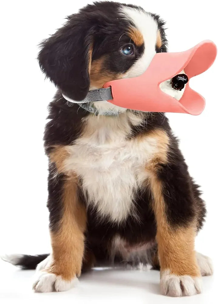 Dog muzzle