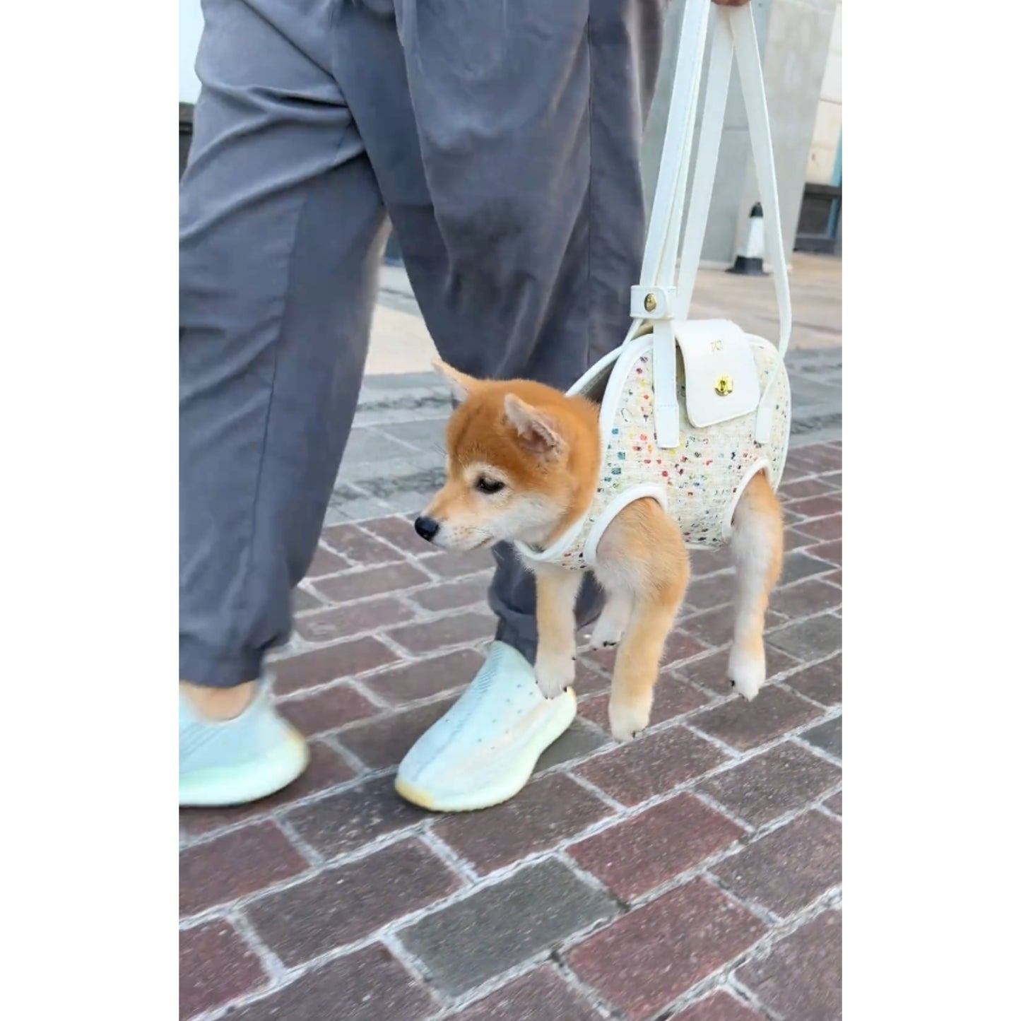 One shoulder Dog carrier bag