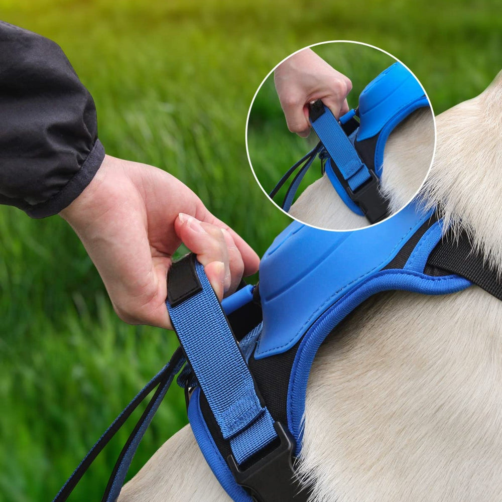 New dog harness