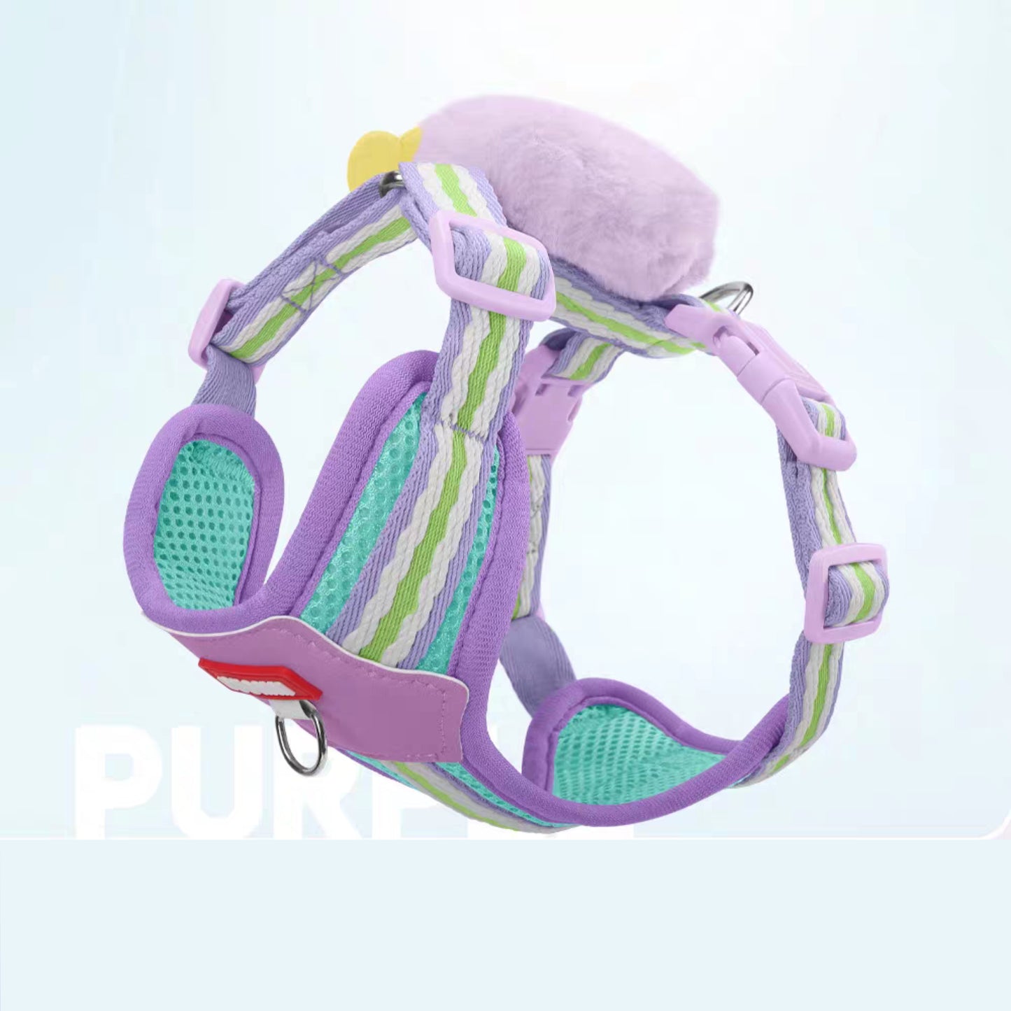 New dog leash