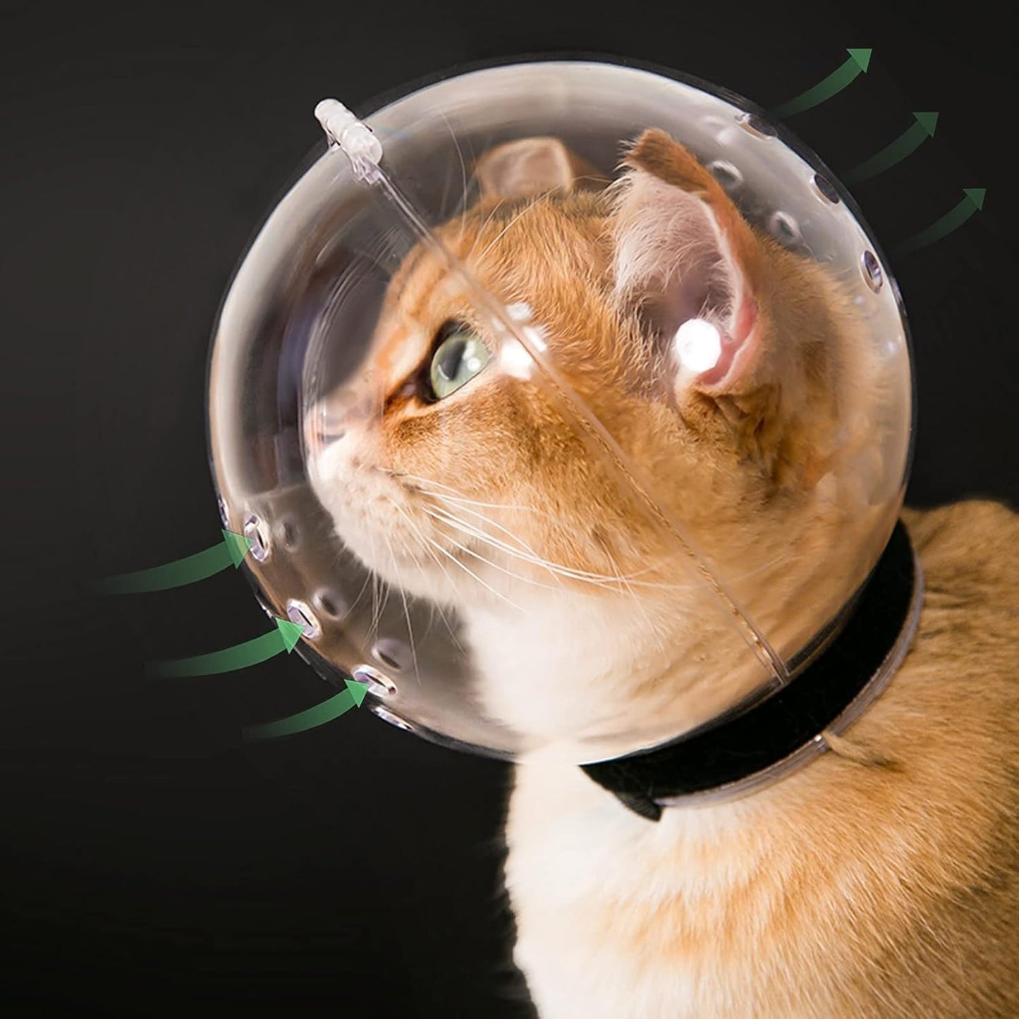 Cat Head protective cover