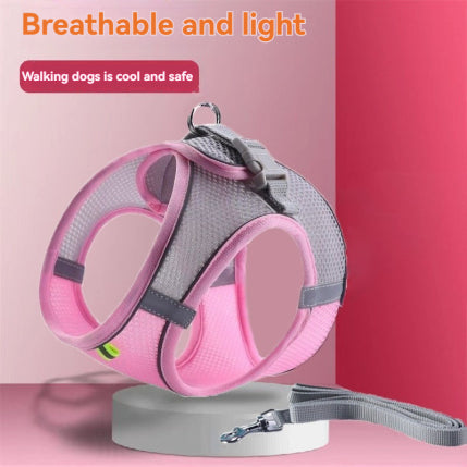 Pet Outgoing Harness