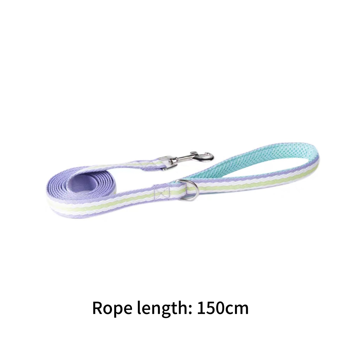 New dog leash