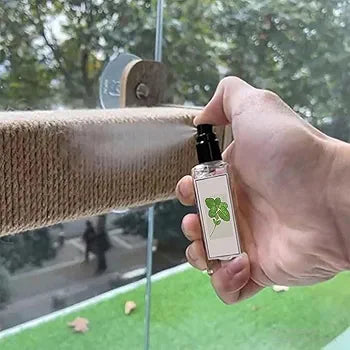 Catnip happy water