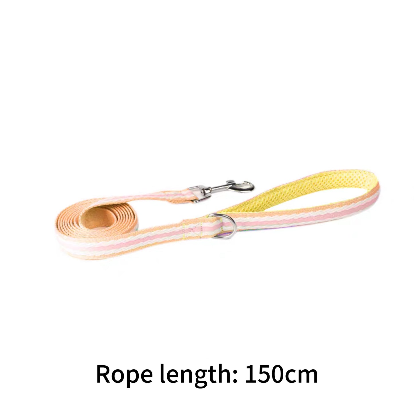 New dog leash