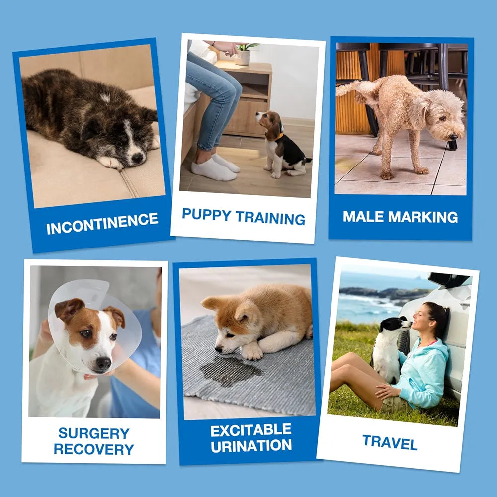 Male and female dog diapers