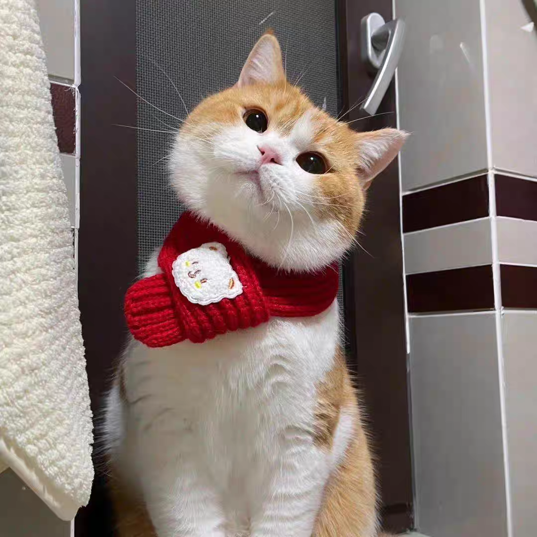 Small Pet scarf 🧣