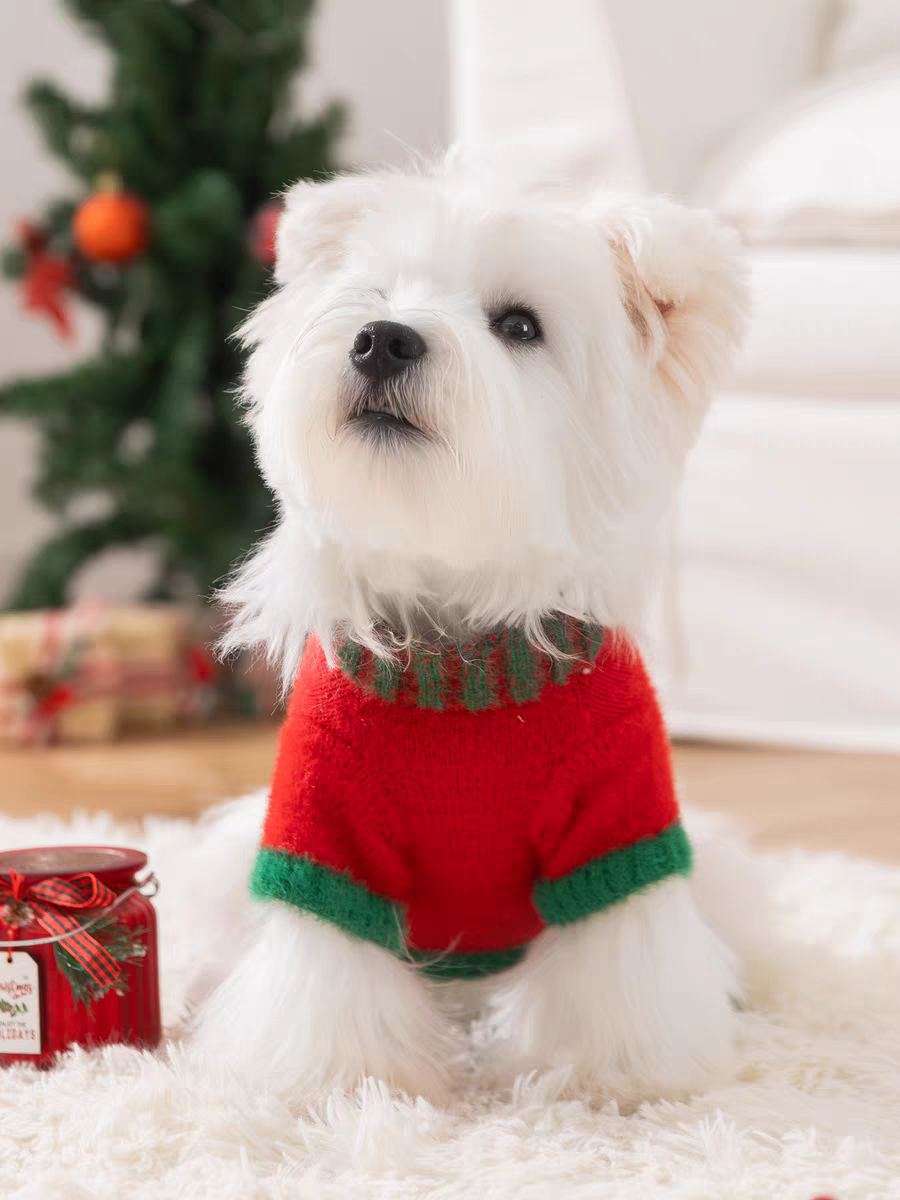 Christmas sweater for Pets