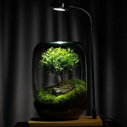 【The Tree of Life】Beautiful Micro landscape