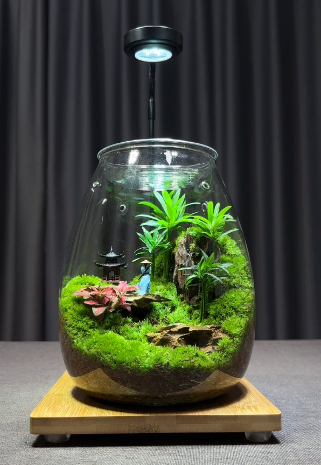 【Top-grade moss】New Style Desktop Moss Landscape