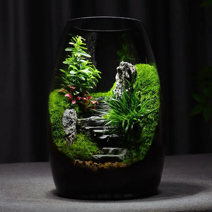 [Step by Step] Moss micro landscape ecological bottle office desktop