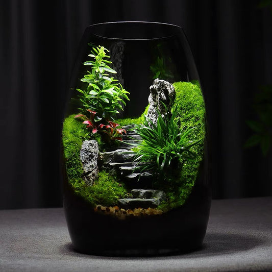 [Step by Step] Moss micro landscape ecological bottle office desktop