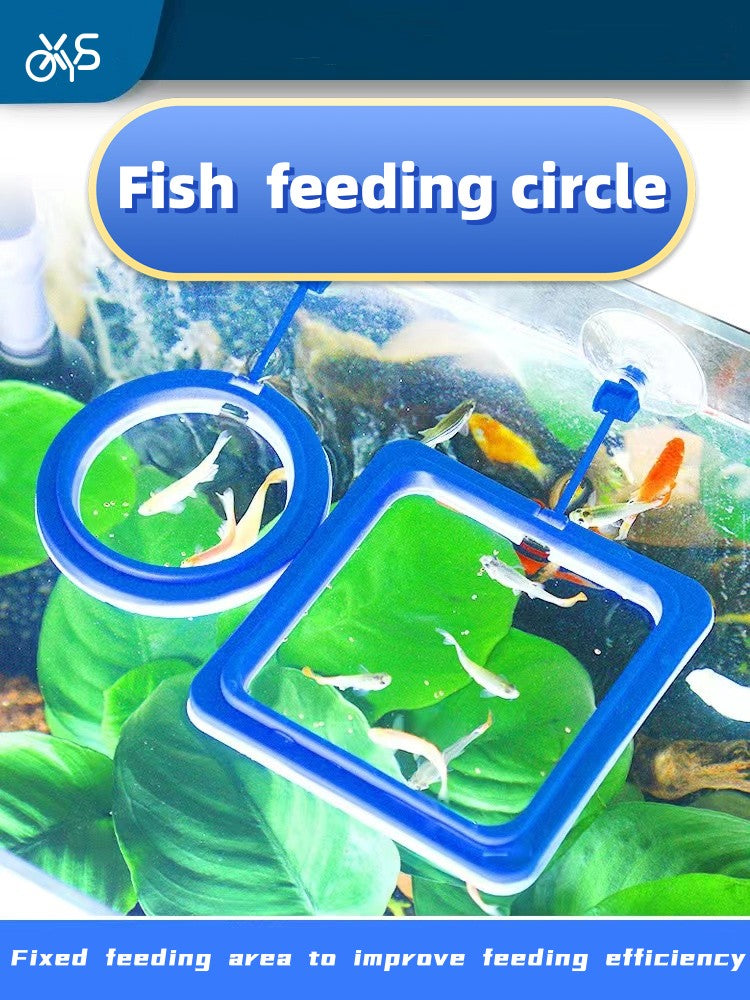 Fish feeding circle