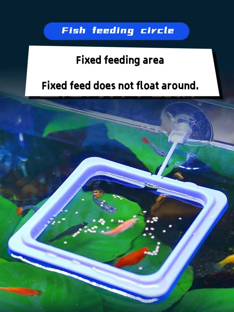 Fish feeding circle