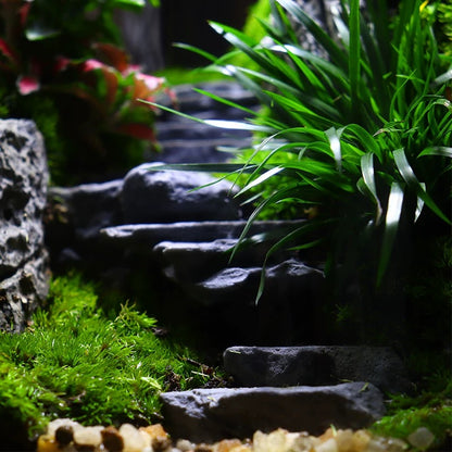 [Step by Step] Moss micro landscape ecological bottle office desktop