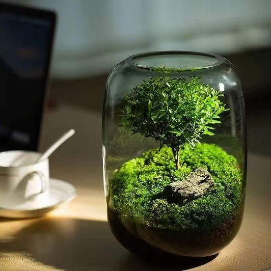 【The Tree of Life】Beautiful Micro landscape