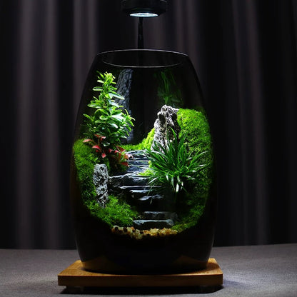 [Step by Step] Moss micro landscape ecological bottle office desktop