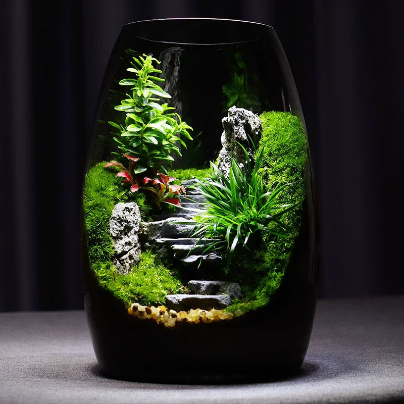 [Step by Step] Moss micro landscape ecological bottle office desktop