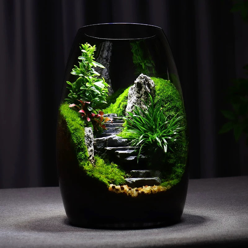 [Step by Step] Moss micro landscape ecological bottle office desktop