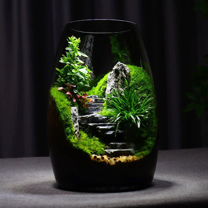 [Step by Step] Moss micro landscape ecological bottle office desktop