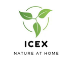 Icexeco.com