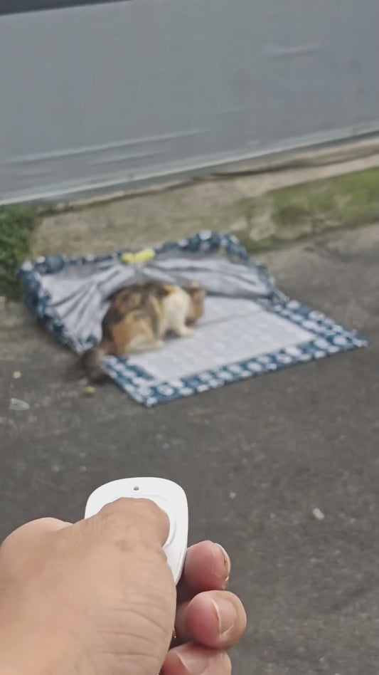 Cat custom Trap