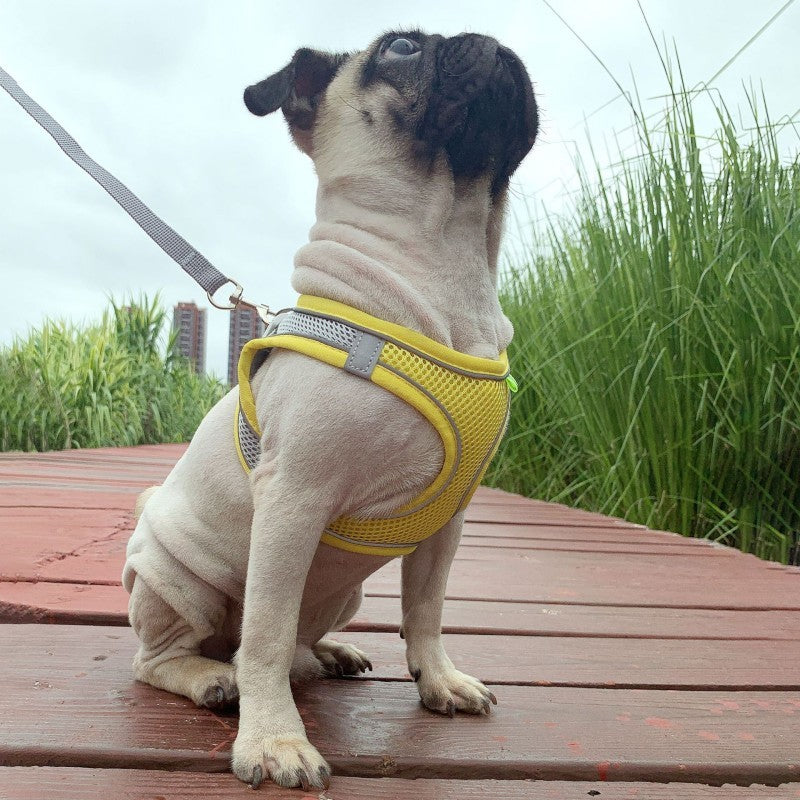 Pet Outgoing Harness