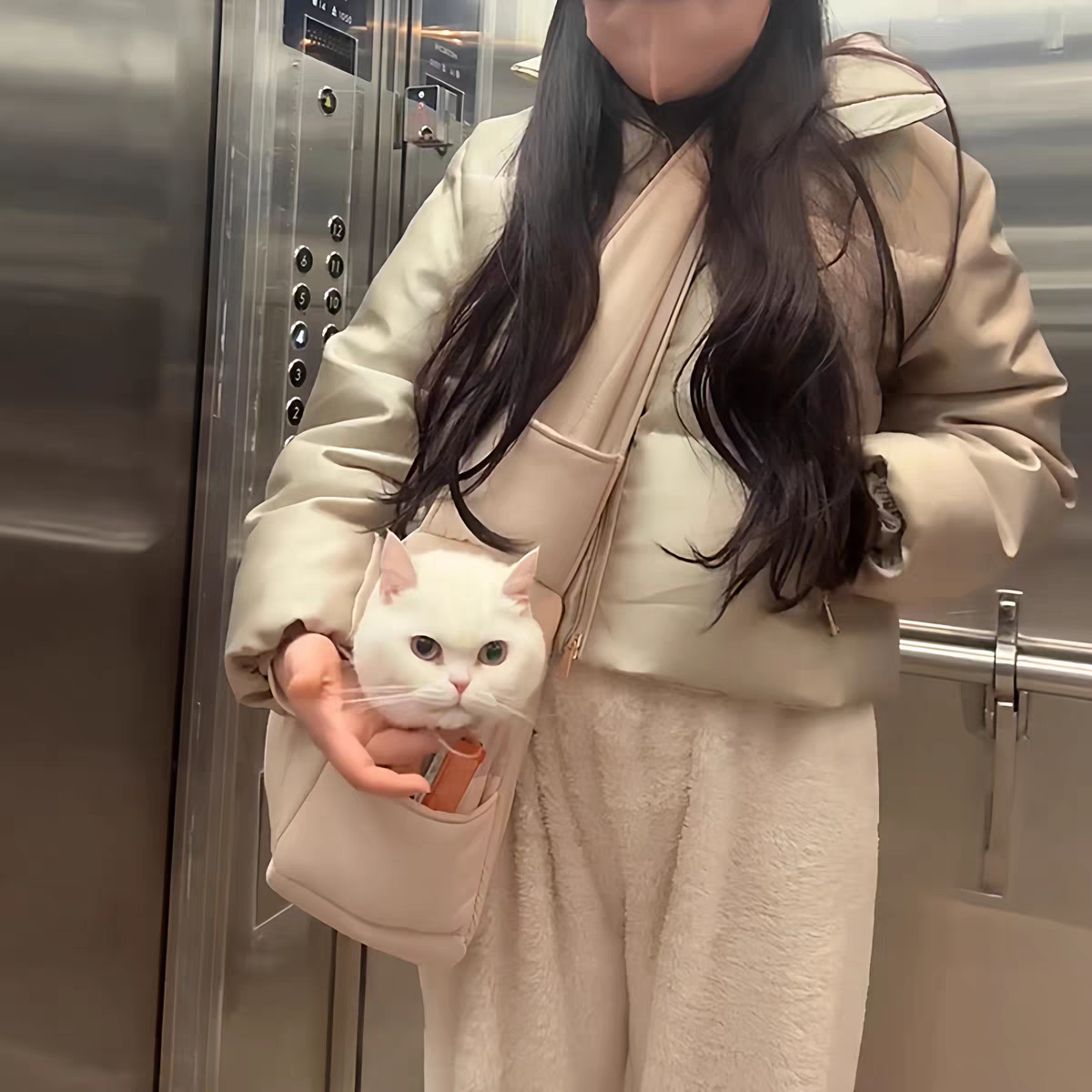 Pet carrier bag for autumn and winter