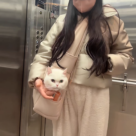 Pet carrier bag for autumn and winter