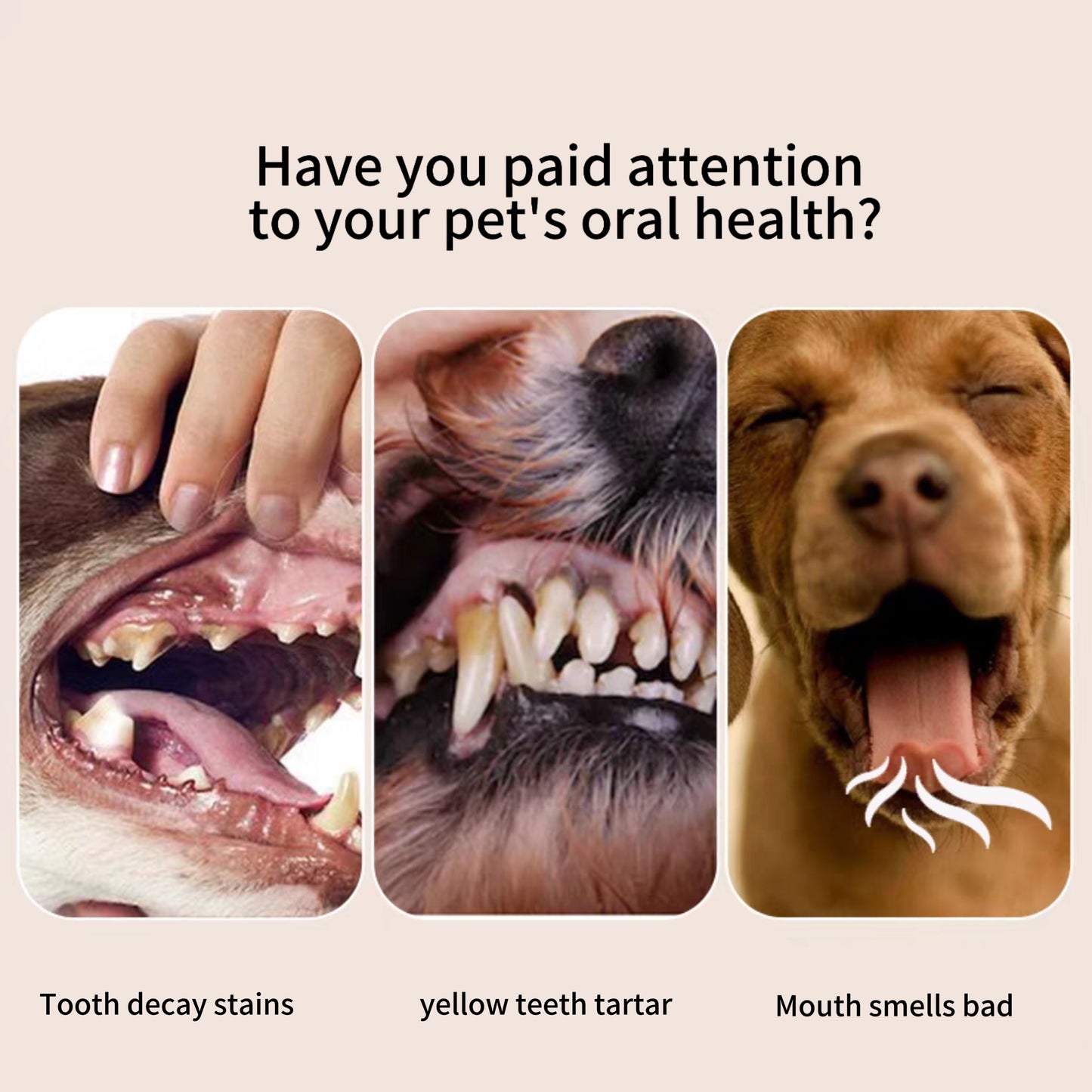 Pet toothpaste set