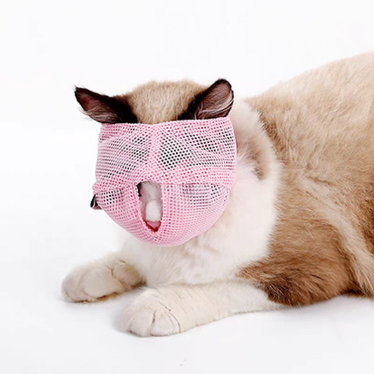 Cat face mask for grooming
