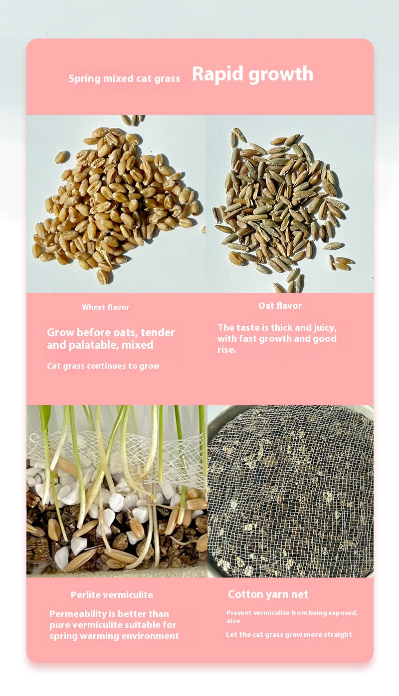Cat organic grass