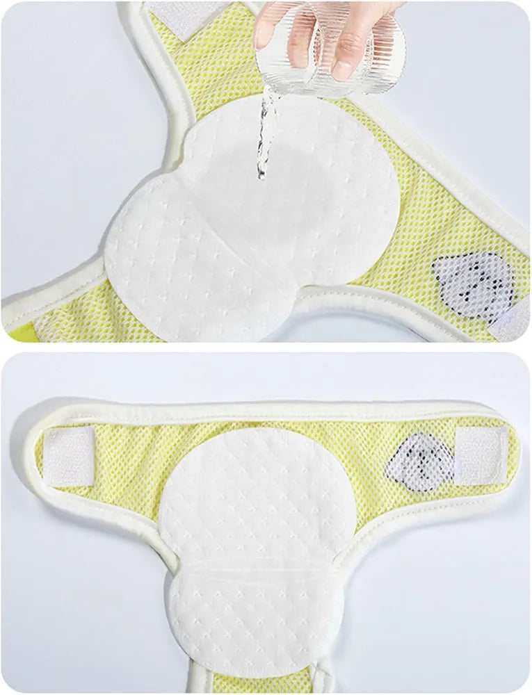 Dog menstrual underwear