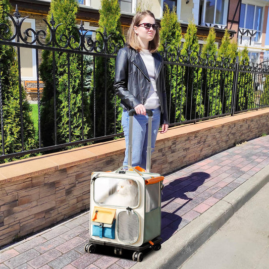 Dog Travel suitcase 🧳
