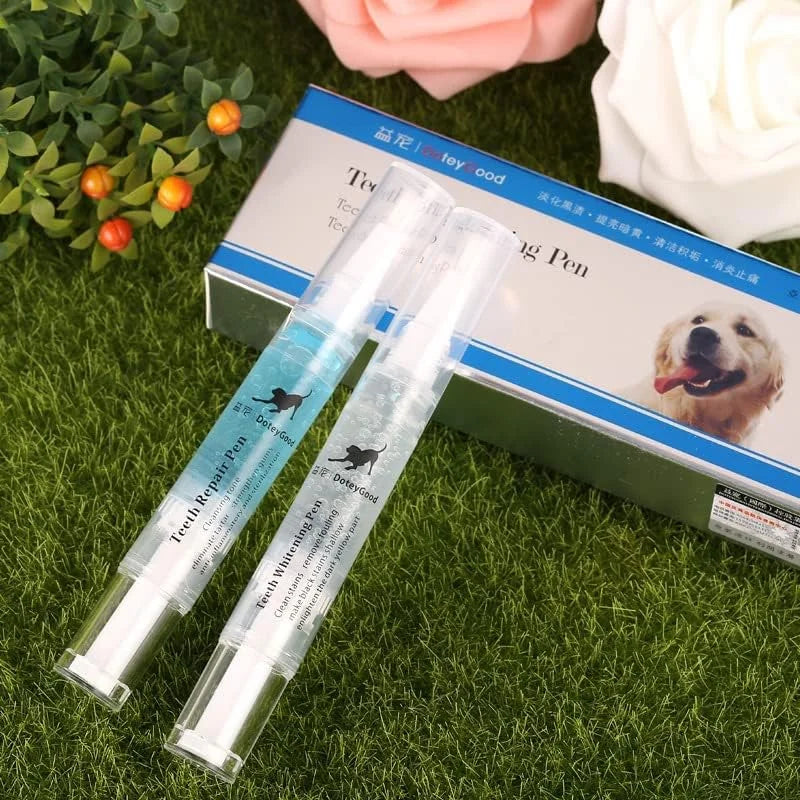 Dog teeth repairing kit