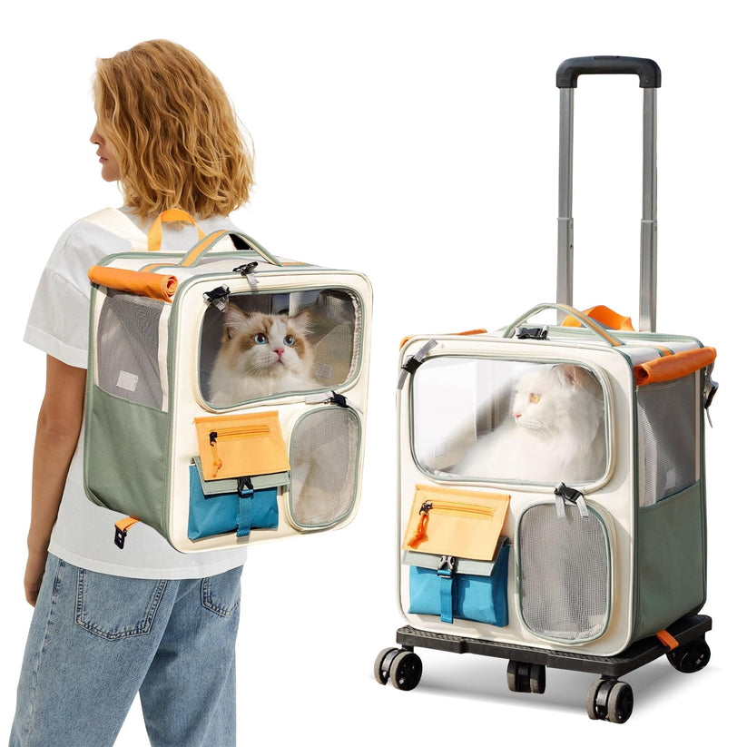 Dog Travel suitcase 🧳