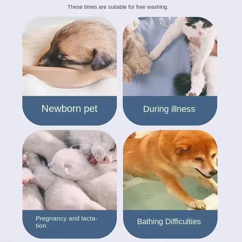 Pet Wash free foam