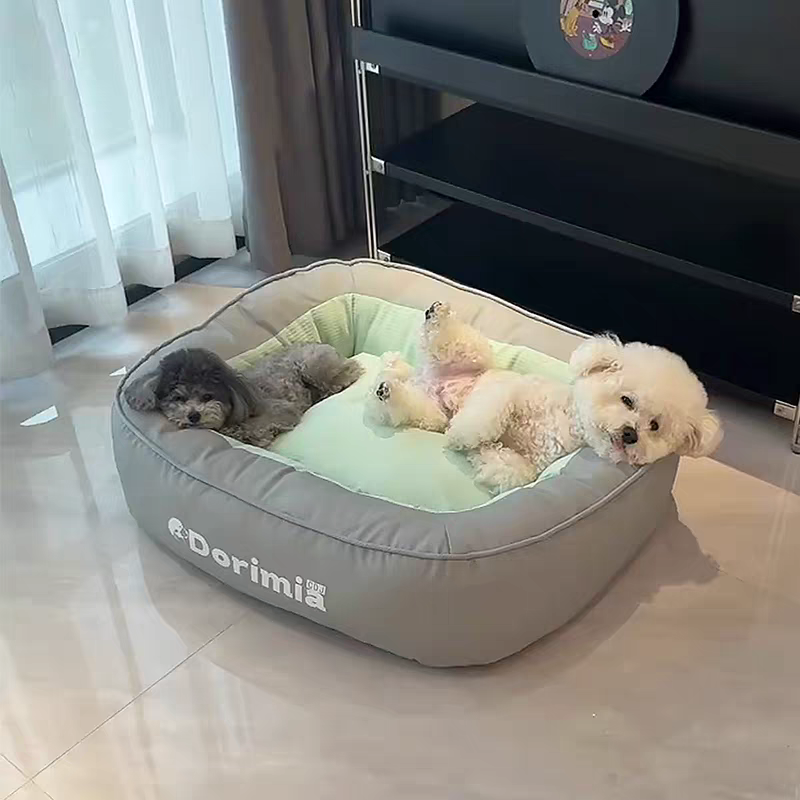 Dog Sleeping Dorimia bed