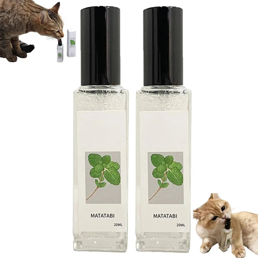 Catnip happy water