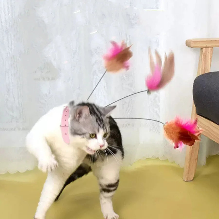 Cat toys feather collar self healing 🤯