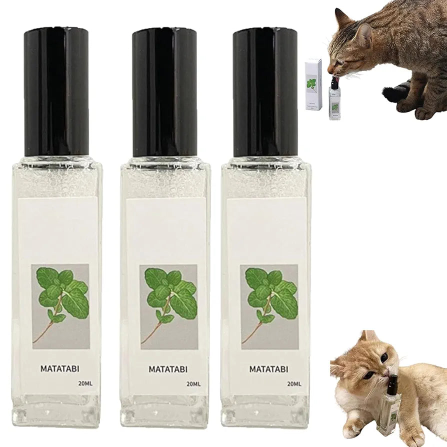 Catnip happy water