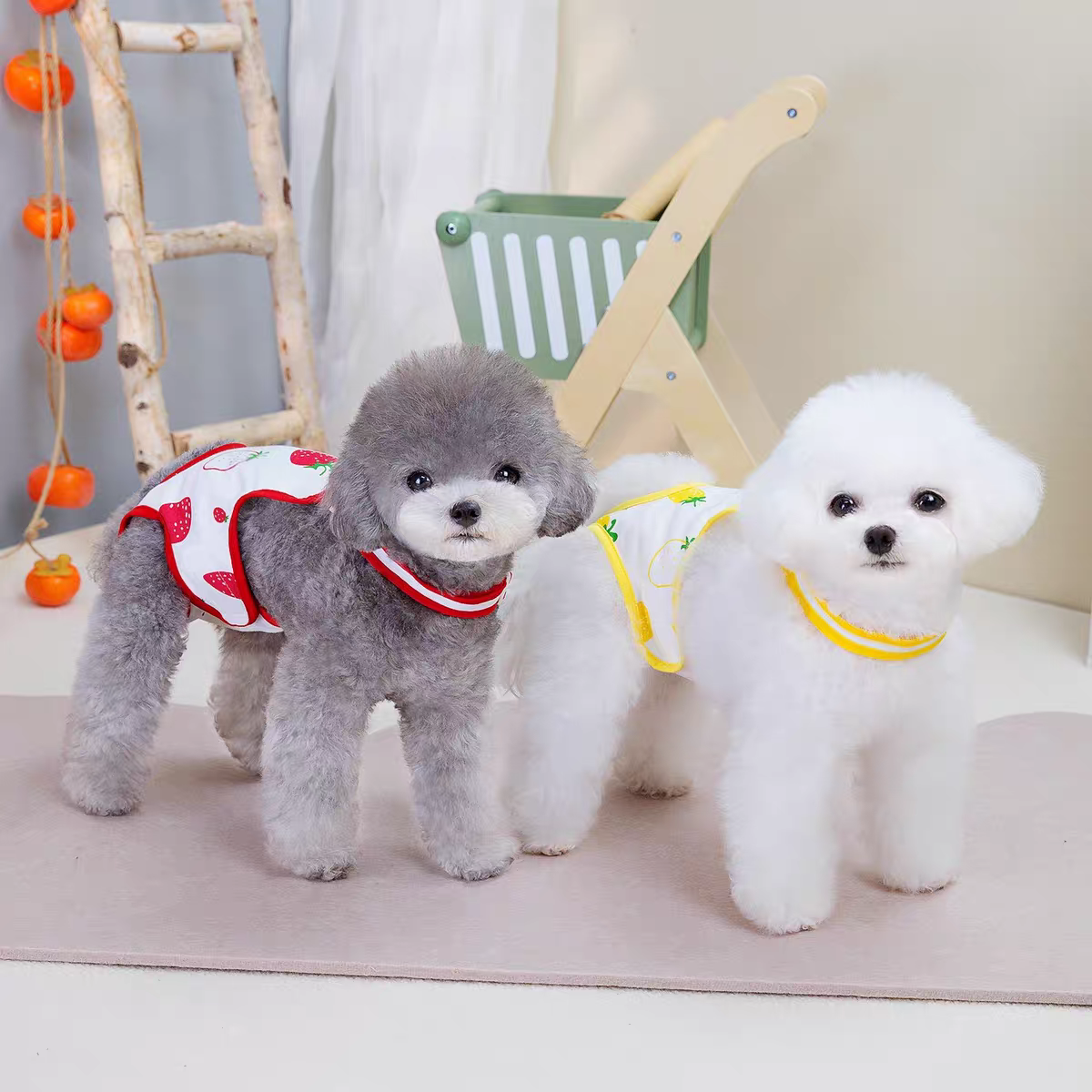 Female Dog physiological pants