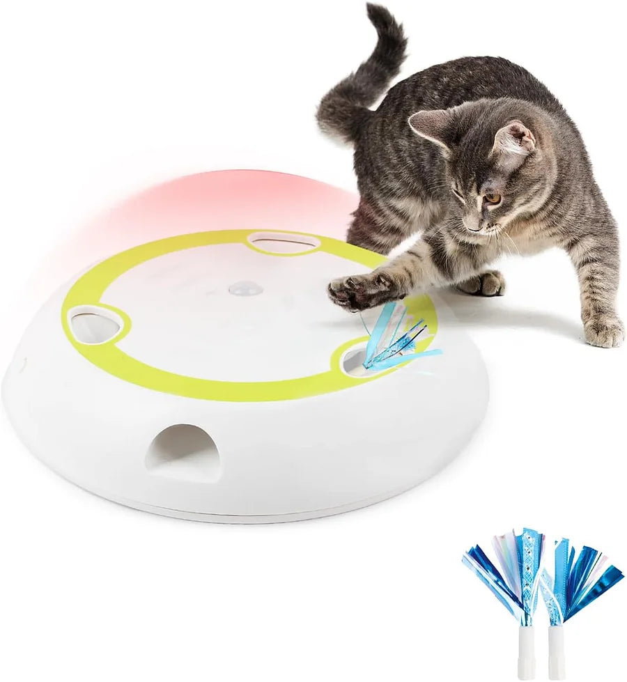 Interactive cat toy