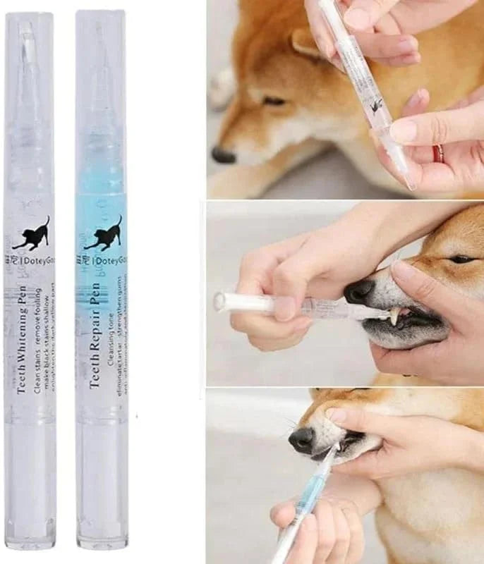 Dog teeth repairing kit