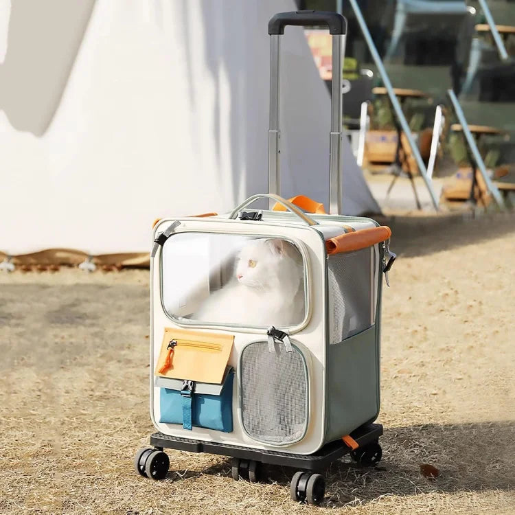 Dog Travel suitcase 🧳