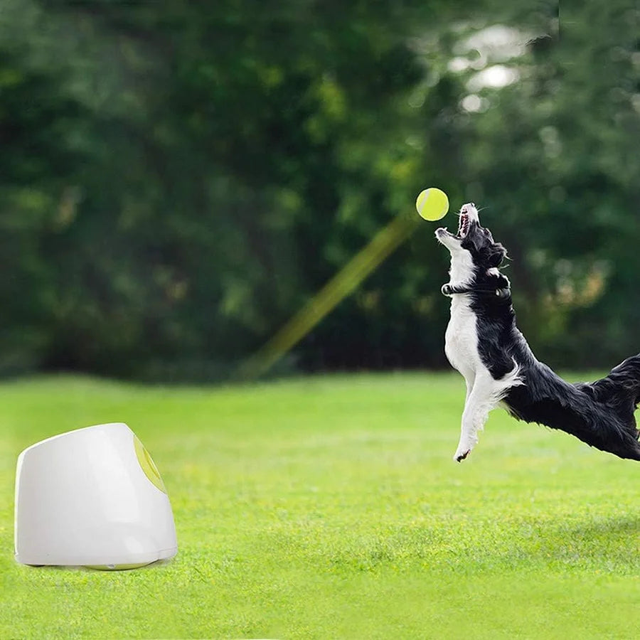 Automatic Ball Launcher Toy
