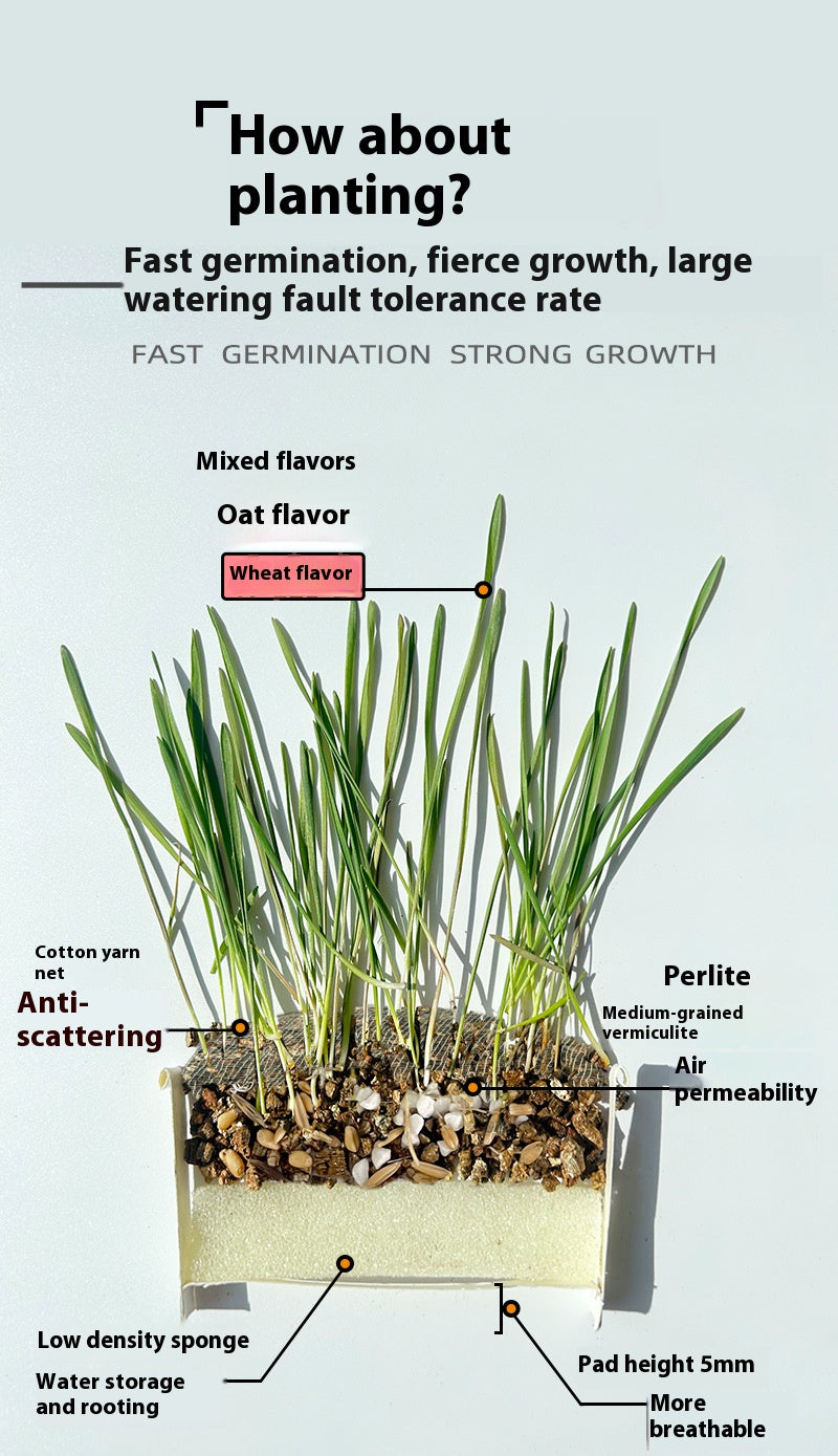 Cat organic grass