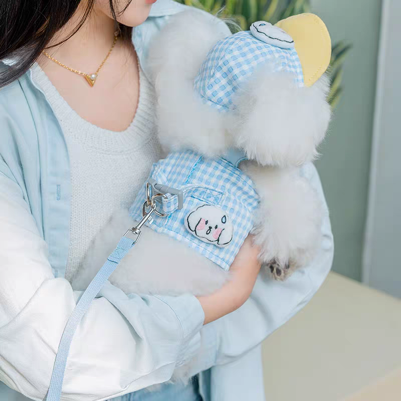 Cute pet harness with hat